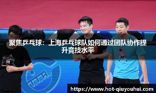 聚焦乒乓球：上海乒乓球队如何通过团队协作提升竞技水平
